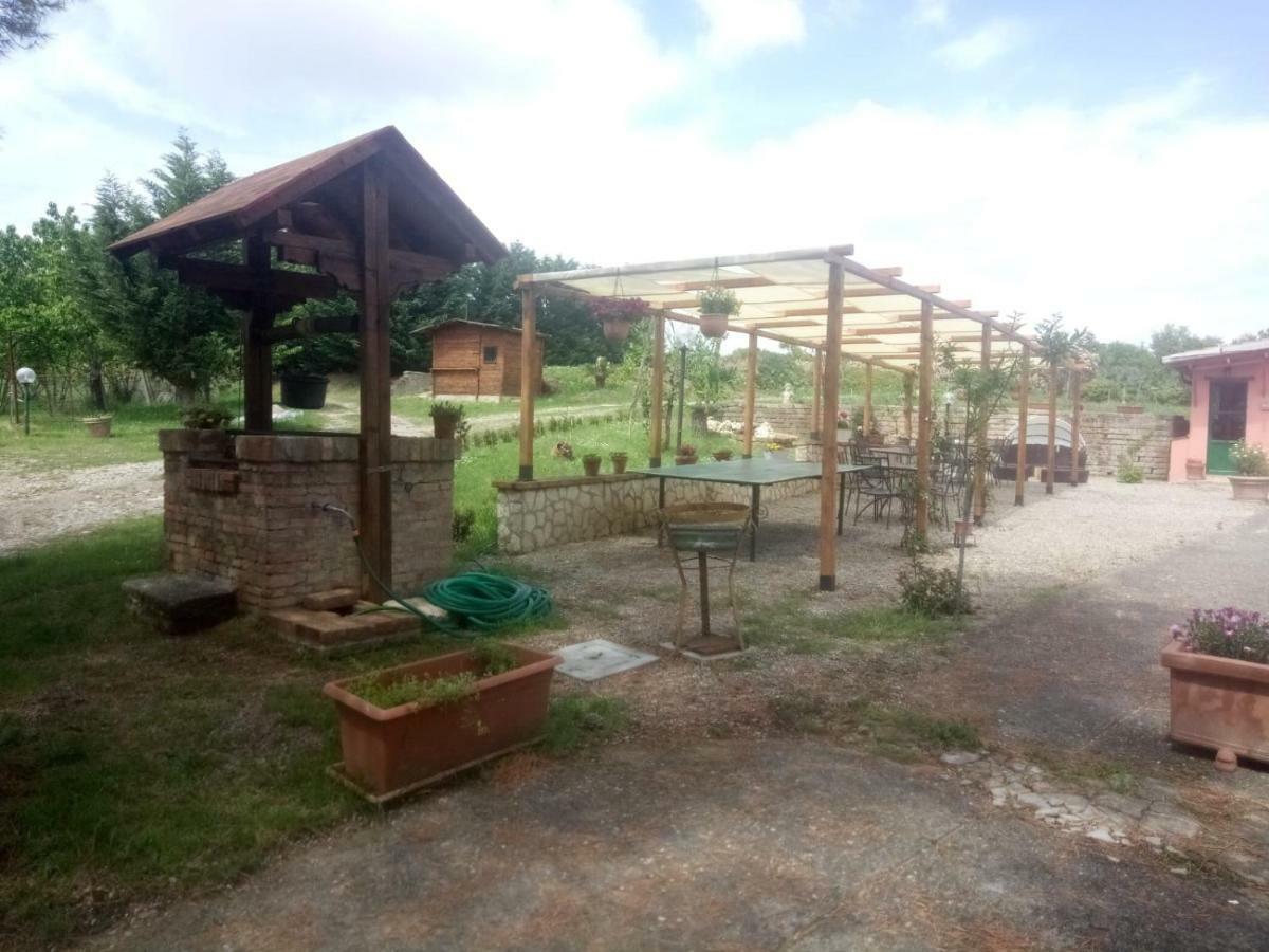 Agriturismo Colle Al Sole Apartman Castiglione del Lago Kültér fotó