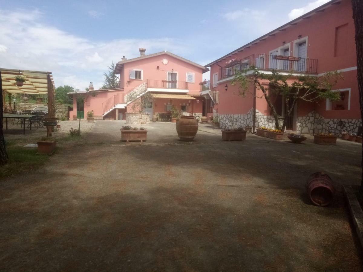 Agriturismo Colle Al Sole Apartman Castiglione del Lago Kültér fotó