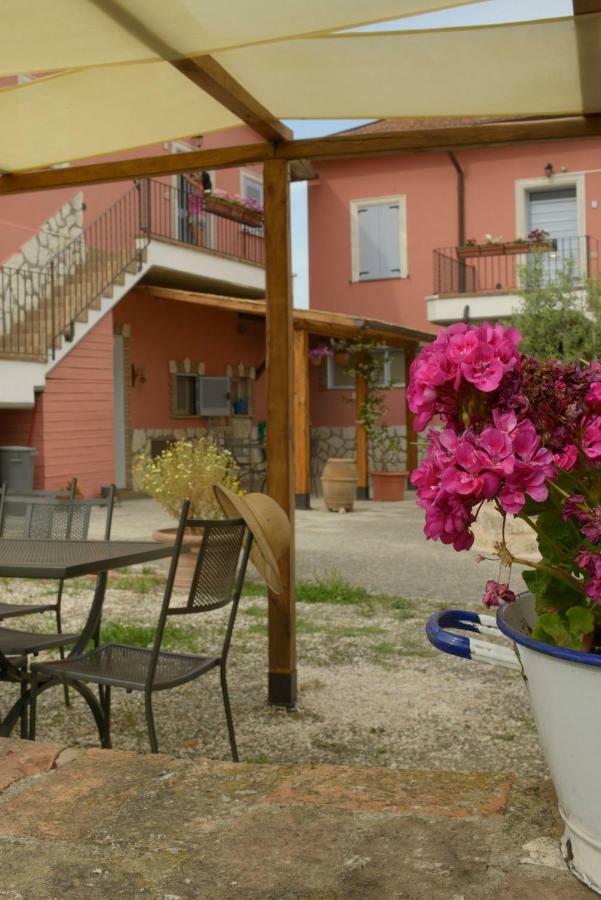 Agriturismo Colle Al Sole Apartman Castiglione del Lago Kültér fotó